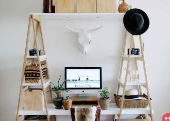 Workplace Creativity and How to Harness it