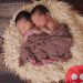 Twins born during coronavirus pandemic named ‘Corona’ and ‘Covid’!