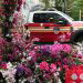 New York floral designer sets beautiful flower arrangements for healthcare workers