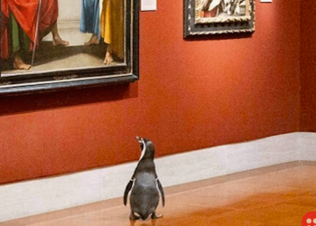 Penguins take a field trip to art museum!