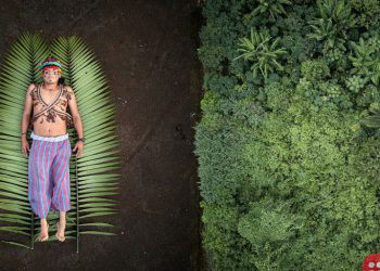 Winners of Sony World Photography Awards 2020 announced!