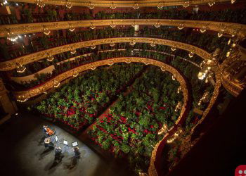 Barcelona Opera reopens with a concert for 2,300 plants!