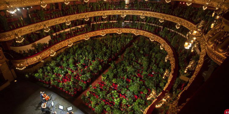 Barcelona Opera reopens with a concert for 2,300 plants!