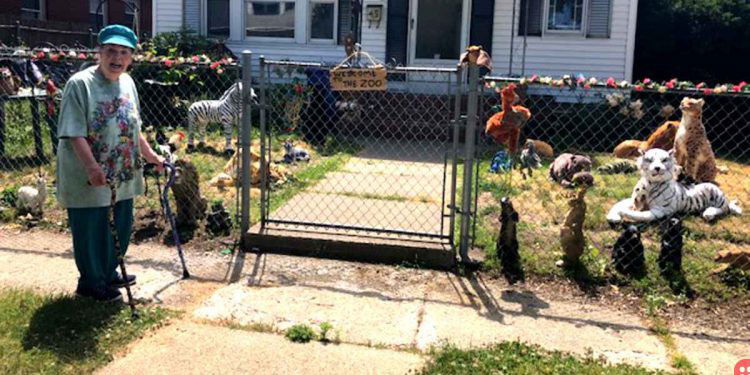 86-year-old woman creates stuffed animal ‘zoo’ to cheer up neighbors