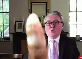UK MP’s cat interrupts Zoom meeting, brings much laughter