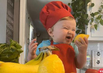 Meet Chef Kobe: the one-year-old who is taking the internet by storm