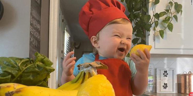 Meet Chef Kobe: the one-year-old who is taking the internet by storm