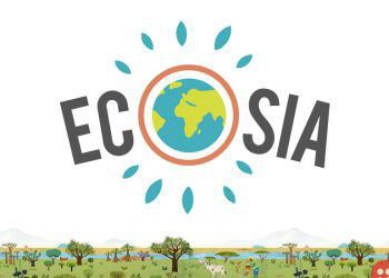 Ecosia: Green search engine plants 100 million trees!