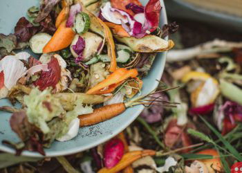 Vermont becomes first US state to mandate composting of food, bans food scraps from trash