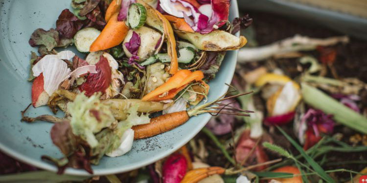 Vermont becomes first US state to mandate composting of food, bans food scraps from trash