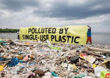 Germany bans single-use plastics