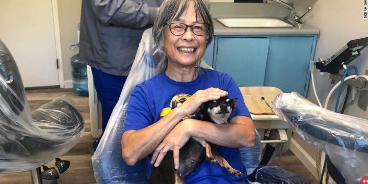 Meet Kismet, the Chihuahua that comforts patients at a California dentist office