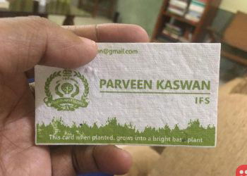 This officer’s sustainable visiting card grows into a plant!