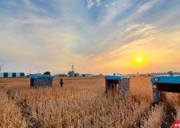 Google unveils crop-inspecting robots