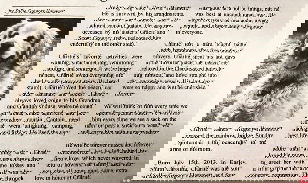 Woman writes heartfelt obituary for dog, and it goes viral