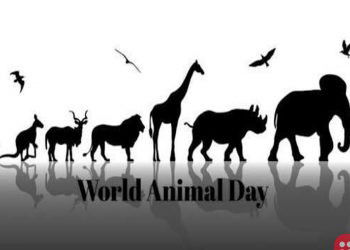 World Animal Day: 22 beautiful quotes on animal love!