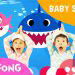 ‘Baby Shark’ becomes most watched YouTube video