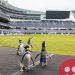 Watch this adorable video of penguins taking an NFL stadium by storm
