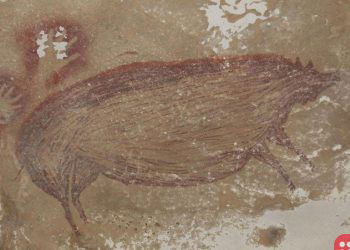 World’s oldest animal cave painting found in Indonesia