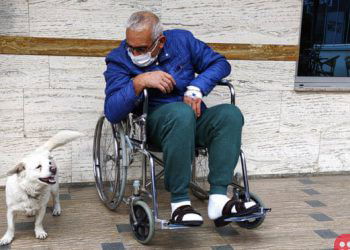 Devoted dog waits for six days outside hospital for sick owner