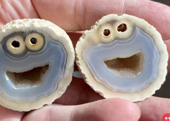 Geologist in Brazil Finds Rock That Bears Resemblance to Cookie Monster from ‘Sesame Street’