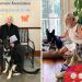 Meet Major Biden, the first rescue dog in the White House