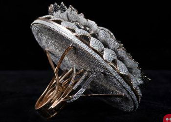 How many diamonds can fit in a single ring? Indian Jeweler sets new Guinness record!