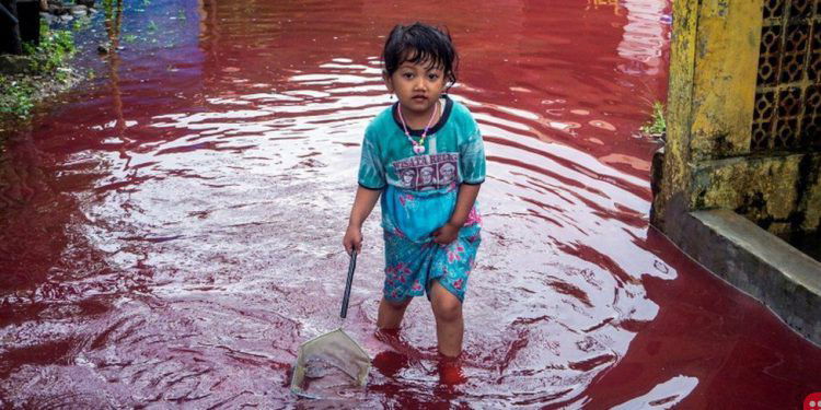 Indonesian Village Submerged By Red Water As Floods Hit Batik Factory