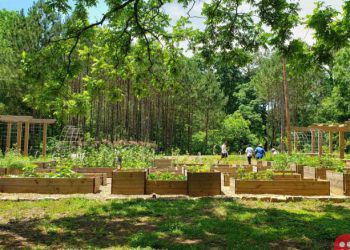 Atlanta creates the largest food forest in the United States