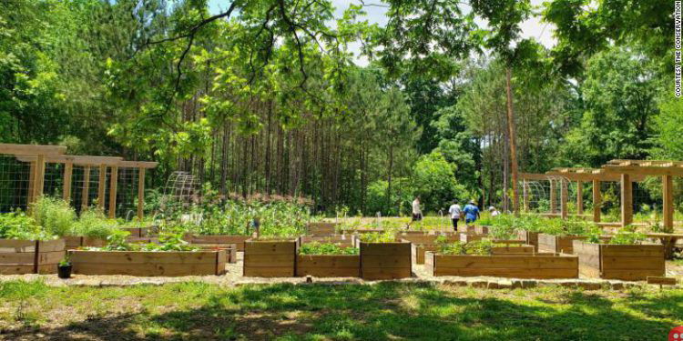Atlanta creates the largest food forest in the United States