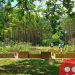 Atlanta creates the largest food forest in the United States