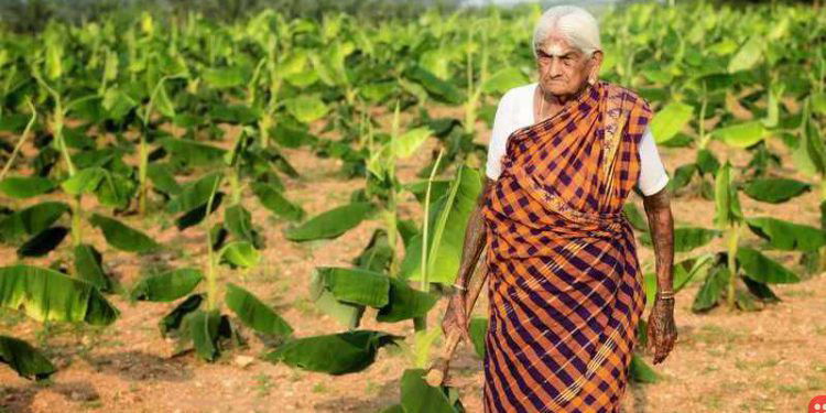 Meet 105-year old Papammal, the organic farmer who was awarded India’s civilian honour