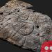 A 4,000-year Old Bronze Age slab found in France is oldest 3D map in Europe