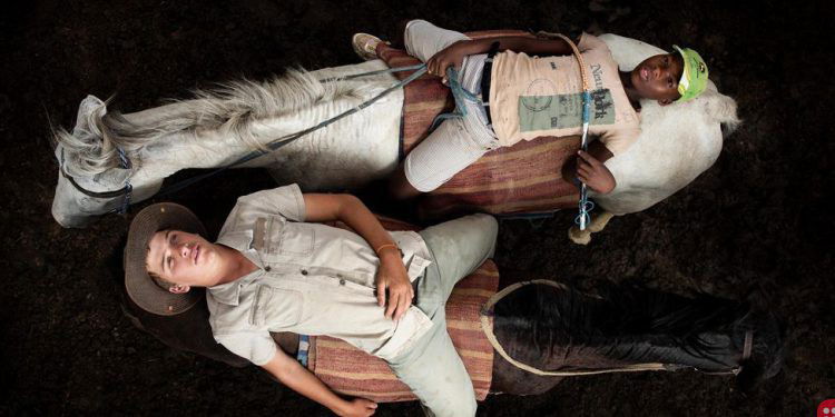 Sony World Photography Award unveils the year’s best photographers