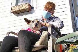 Dog reunited with owner 5 years after it went missing!